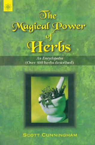 The Magical Power Of Herbs