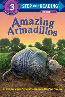 SIR: Amazing Armadillos