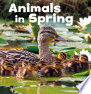 Animals in Spring
