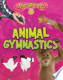 Animal Gymnastics (Animalympics)