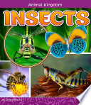 Animal Kingdom: Insects