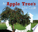 An Apple Tree’s Life Cycle