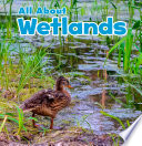 All About Wetlands