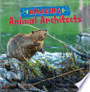 Amazing Animal Architects