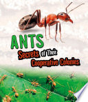 Amazing Animal Colonies: Ants: Secrets of Their Cooperative Colonies