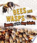 Amazing Animal Colonies: Bees and Wasps: Secrets of Their Busy Colonies