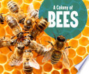 Animal Groups: A Colony of Bees