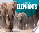 Animal Groups: A Herd of Elephants