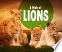 Animal Groups: A Pride of Lions