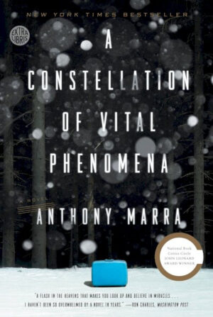 A Constellation of Vital Phenomena